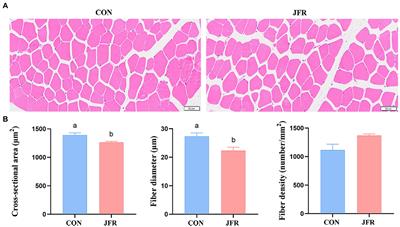 Dietary supplementation with jasmine flower residue improves meat quality and flavor of goat